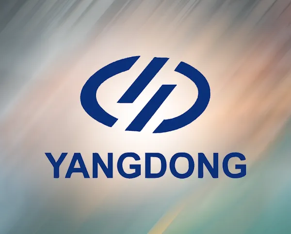 Yangdong dizel motorlu jeneratörler